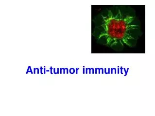 Anti-tumor immunity