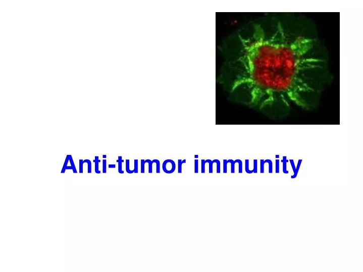 anti tumor immunity