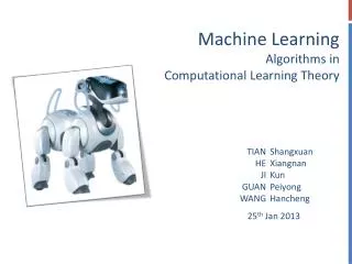 Machine Learning Algorithms in Computational Learning Theory