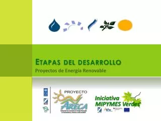 etapas del desarrollo
