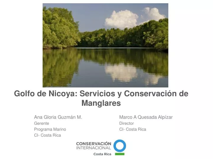 golfo de nicoya servicios y conservaci n de manglares