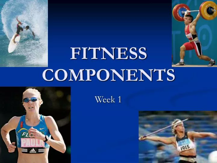fitness components