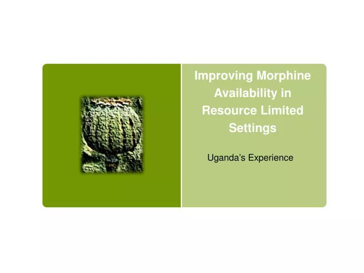 improving morphine availability in resource limited settings