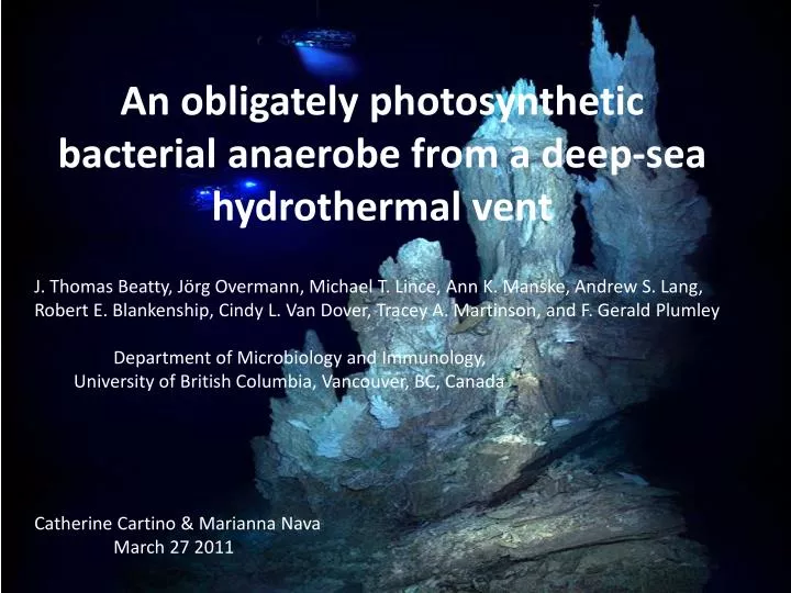 an obligately photosynthetic bacterial anaerobe from a deep sea hydrothermal vent