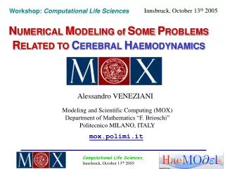 mox polimi it