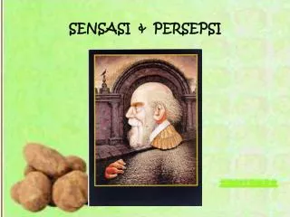 sensasi persepsi