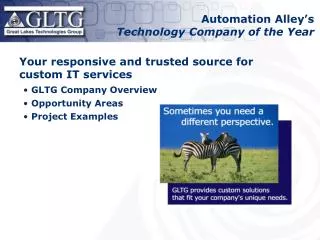 Your responsive and trusted source for custom IT services GLTG Company Overview Opportunity Areas
