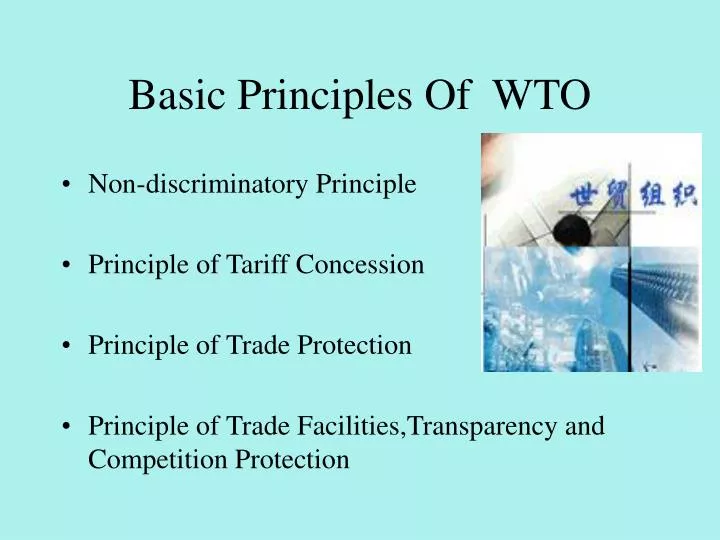 basic principles of wto