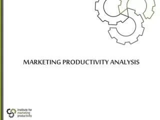 MARKETING PRODUCTIVITY ANALYSIS