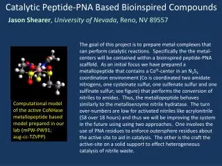 Catalytic Peptide-PNA Based Bioinspired Compounds