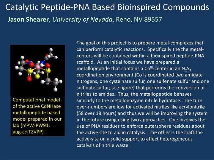 catalytic peptide pna based bioinspired compounds