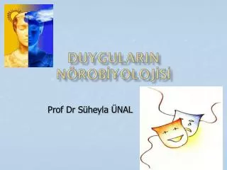 prof dr s heyla nal