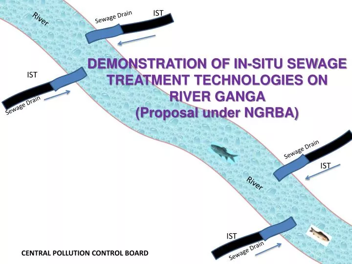 demonstration of in situ sewage treatment technologies on river ganga proposal under ngrba