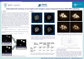 Automated 3D Tracking of Low-light Level Imagery using Compound Poisson MAP-MRF Labelling