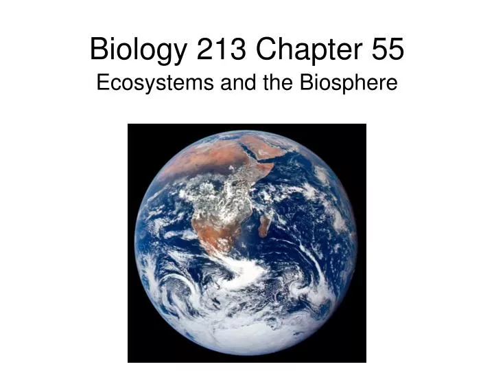 biology 213 chapter 55