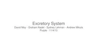 Excretory System David Moy - Graham Nadel - Sydney Lehman - Andrew Mikula Purple - 11/4/13