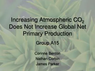 Increasing Atmospheric CO 2 Does Not Increase Global Net Primary Production