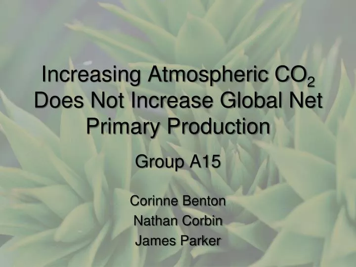 increasing atmospheric co 2 does not increase global net primary production
