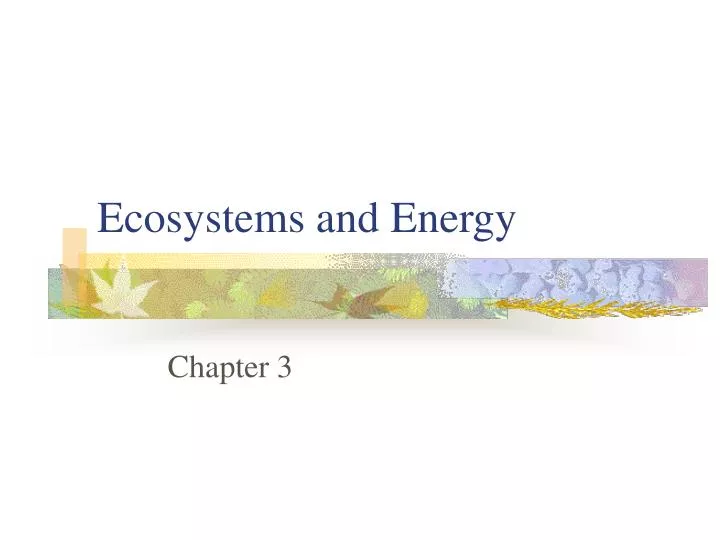 ecosystems and energy