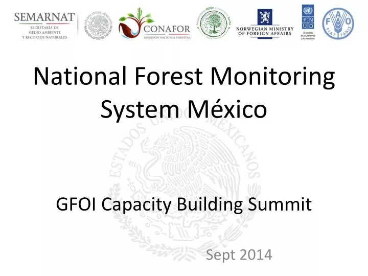 national forest monitoring system m xico gfoi capacity building summit