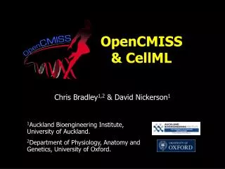 OpenCMISS &amp; CellML