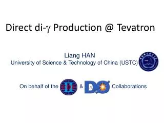 Direct di- g Production @ Tevatron