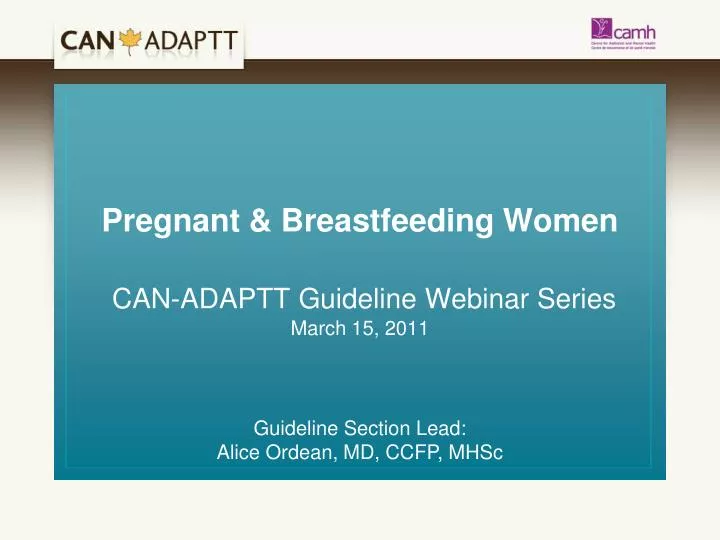 pregnant breastfeeding women can adaptt guideline webinar series march 15 2011