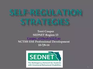 Self-Regulation Strategies