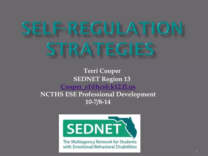 self regulation strategies