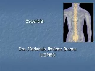 espalda