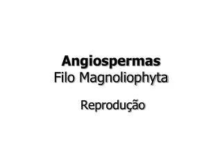 angiospermas filo magnoliophyta