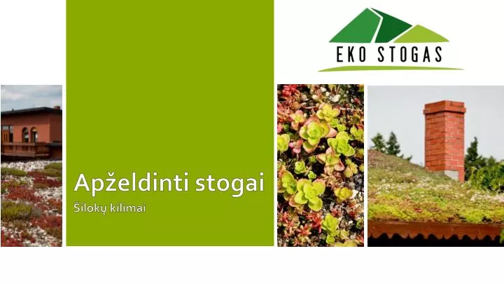 ap eldinti stogai