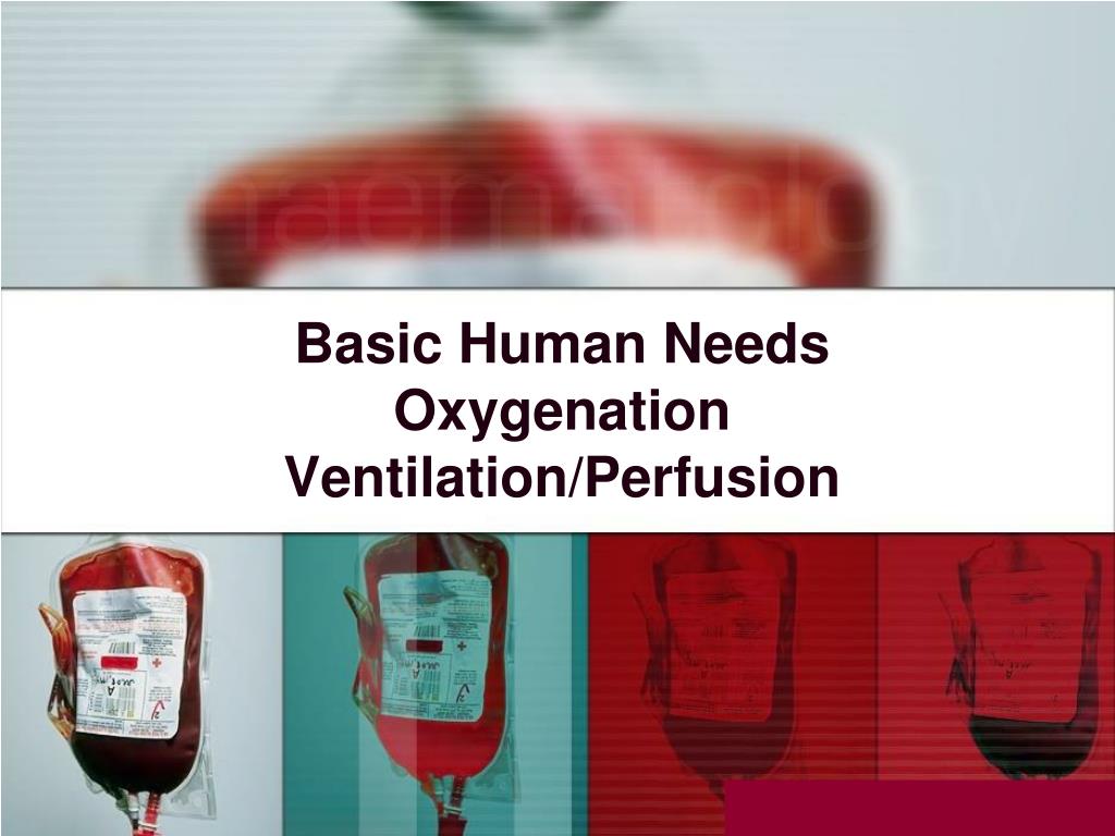 Basic Human Needs Oxygenation Ventilation/Perfusion - slide 1