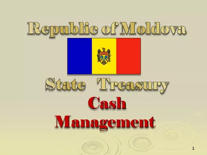 republic of moldova state treasury cash management