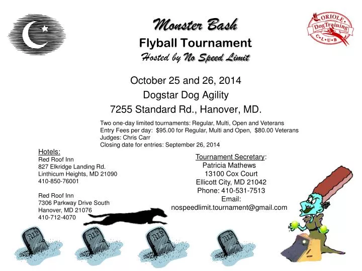monster bash flyball tournament hosted by no speed limit