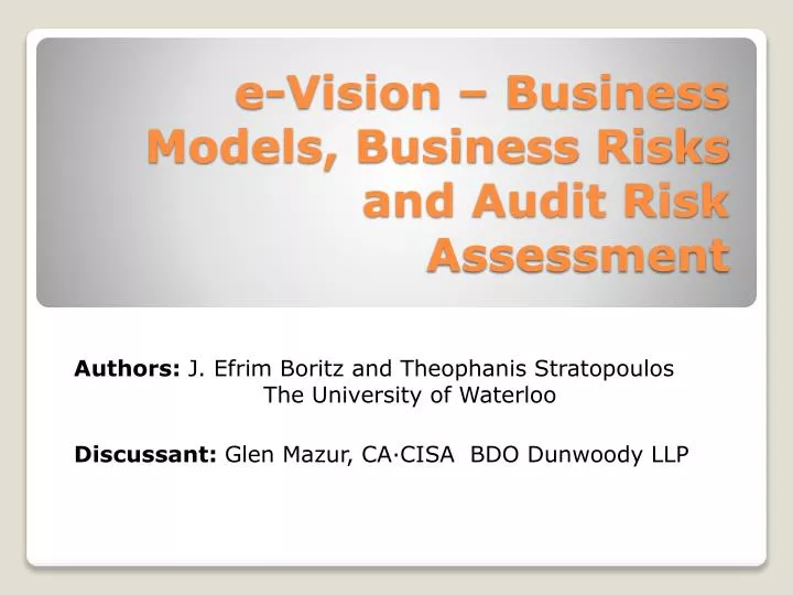 e vision business models business risks and audit risk assessment