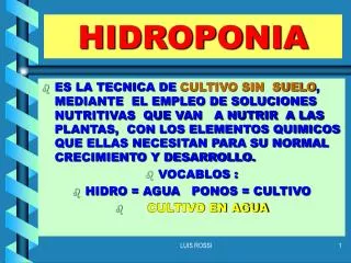 hidroponia