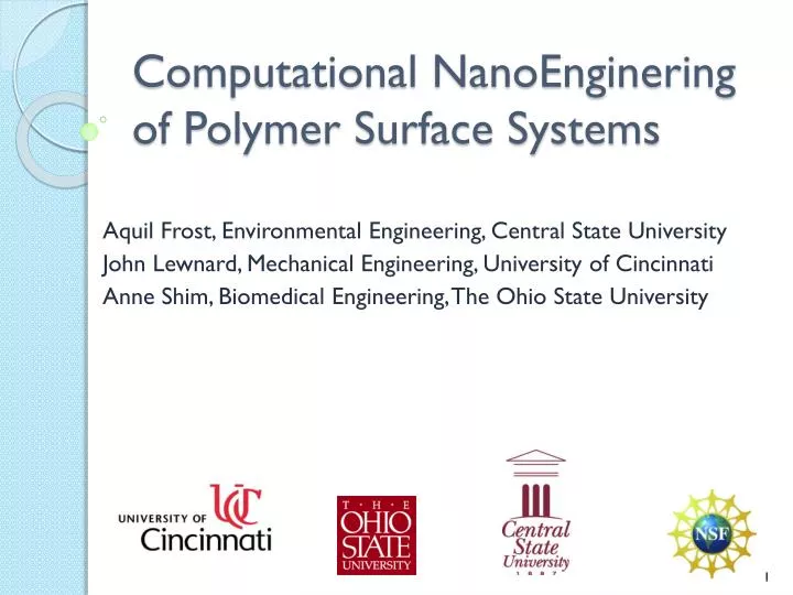 computational nanoenginering of polymer surface systems