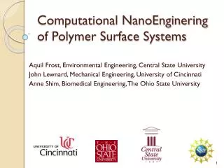 Computational NanoEnginering of Polymer Surface Systems