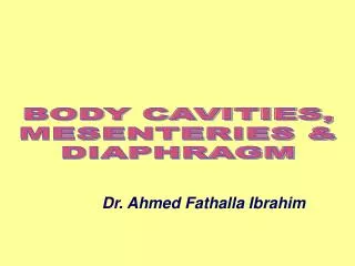 BODY CAVITIES, MESENTERIES &amp; DIAPHRAGM