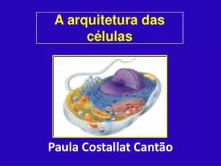 a arquitetura das c lulas