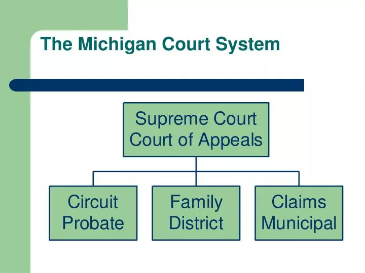 the michigan court system