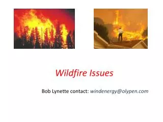 Wildfire Issues