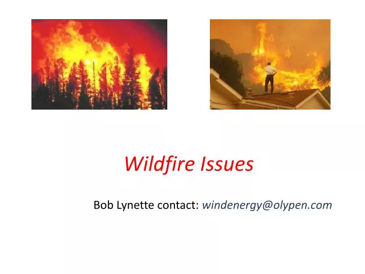 wildfire issues