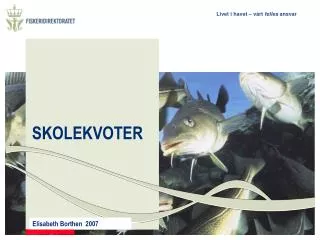 elisabeth borthen 2007