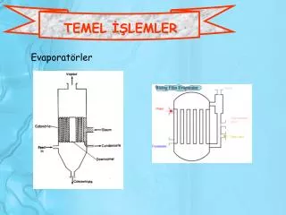 temel lemler