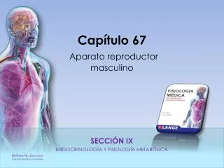 cap tulo 67 aparato reproductor masculino
