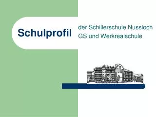 schulprofil