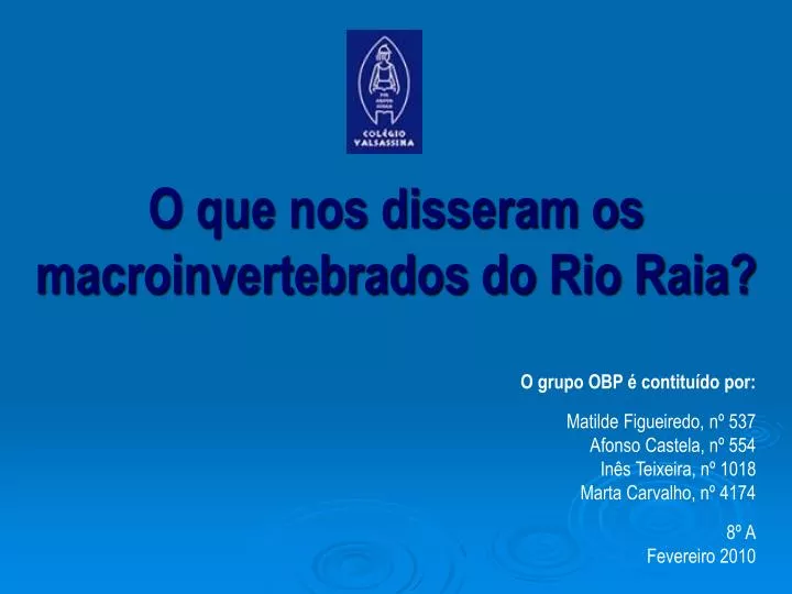 o que nos disseram os macroinvertebrados do rio raia