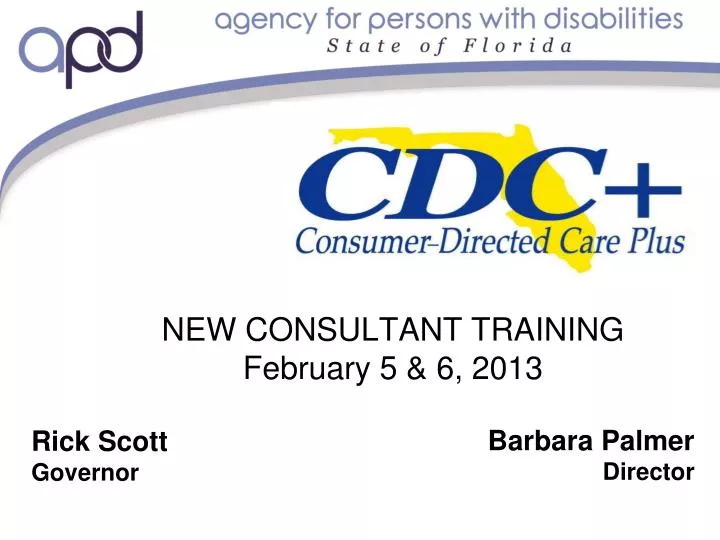 new consultant training february 5 6 2013
